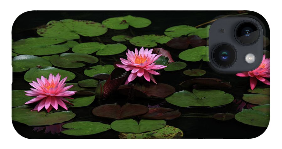 Water Lily iPhone Case featuring the photograph Water Lilies 9 by Richard Krebs