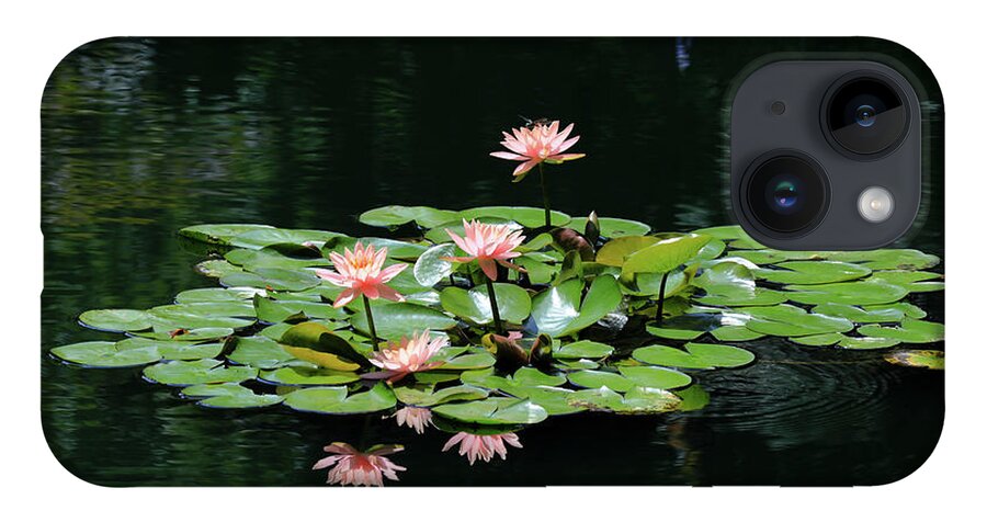 Water Lily iPhone 14 Case featuring the photograph Water Lilies 10 by Richard Krebs