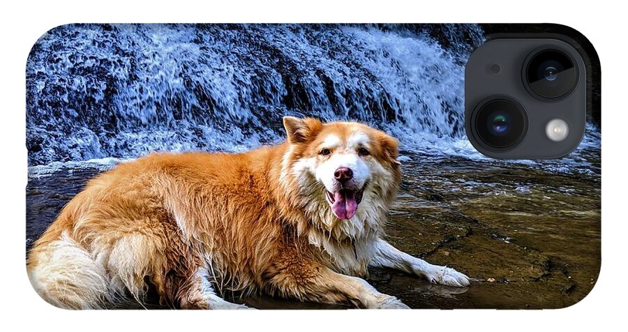  iPhone 14 Case featuring the photograph Waterfall Doggy by Brad Nellis