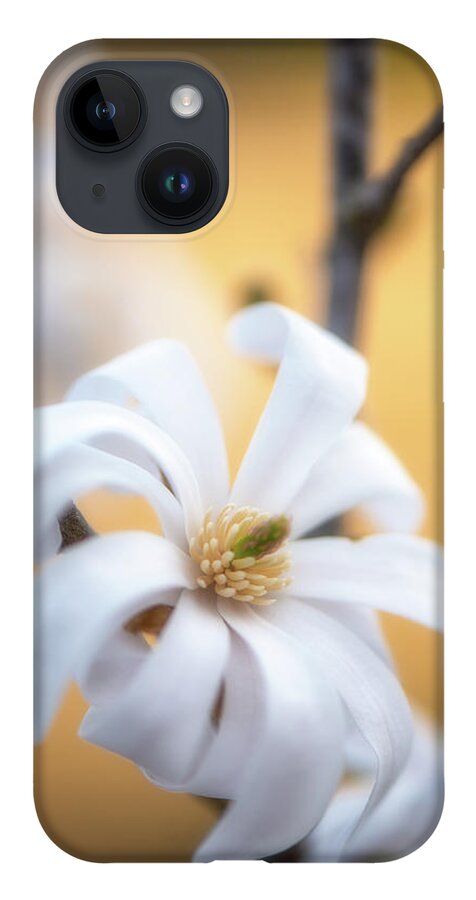 Flowers iPhone 14 Case featuring the photograph Welcome To The Story by Philippe Sainte-Laudy