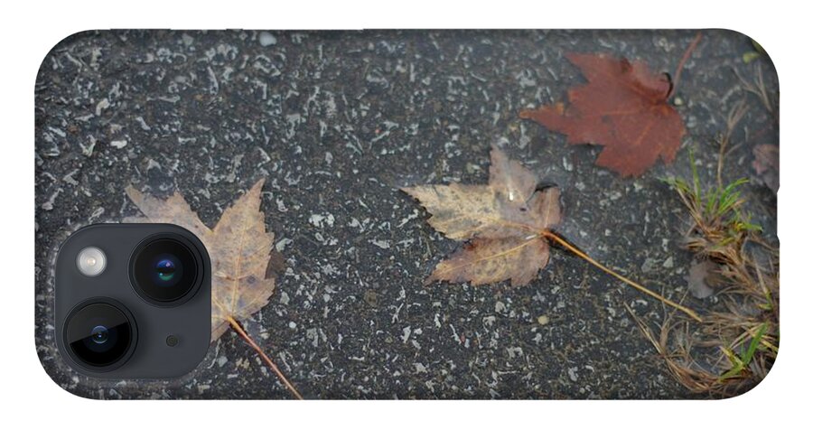 Leaves iPhone 14 Case featuring the photograph Wet Autumn Leaves in a Puddle by Valerie Collins