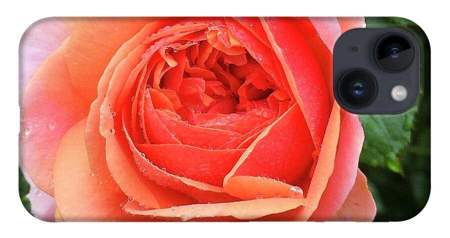 Rose iPhone 14 Case featuring the digital art Wet Rose by Nancy Olivia Hoffmann