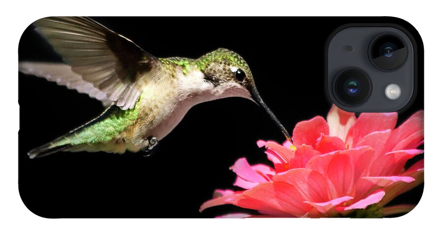 Hummingbirds iPhone Case featuring the photograph Whispering Hummingbird Square by Christina Rollo