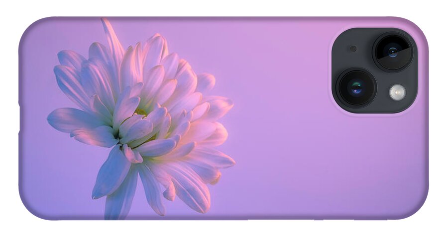 Daisy iPhone 14 Case featuring the photograph White Daisy on Lavender Background by Lindsay Thomson