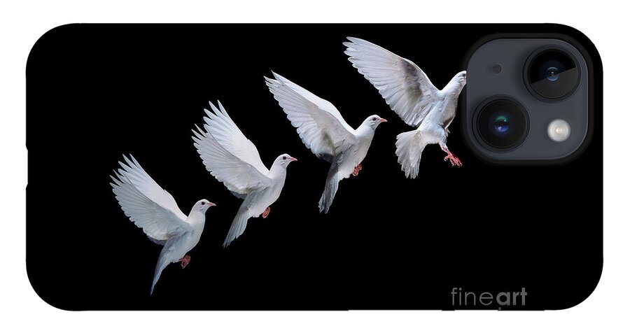 Columba Livia iPhone 14 Case featuring the photograph White dove in flight multiple exposure 4 on black by Warren Photographic