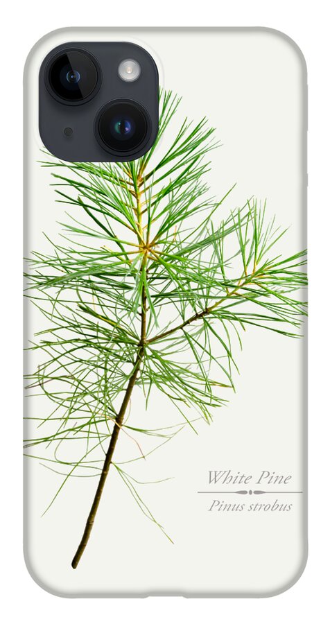 White Pine iPhone Case featuring the mixed media White Pine by Christina Rollo