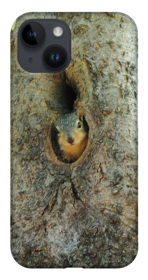 Squirrel iPhone 14 Case featuring the photograph Who's There by C Winslow Shafer
