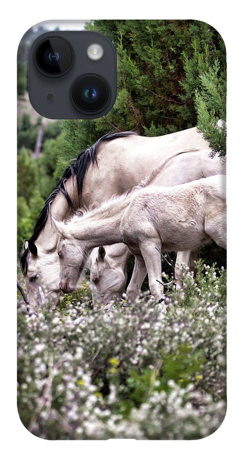 Wild Horses iPhone 14 Case featuring the photograph Wild Flower Breakfast by American Landscapes