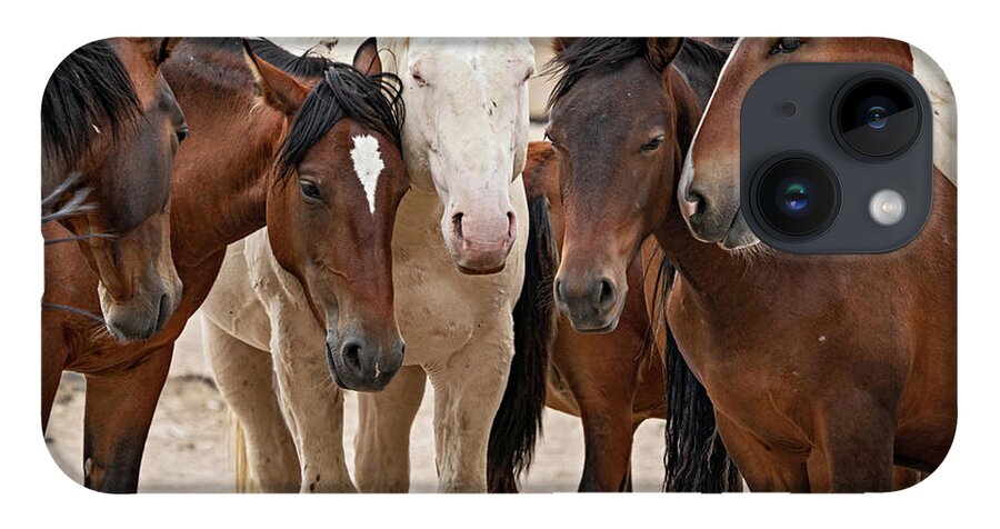 Wild Horses iPhone 14 Case featuring the photograph Wild Horse Huddle by Wesley Aston