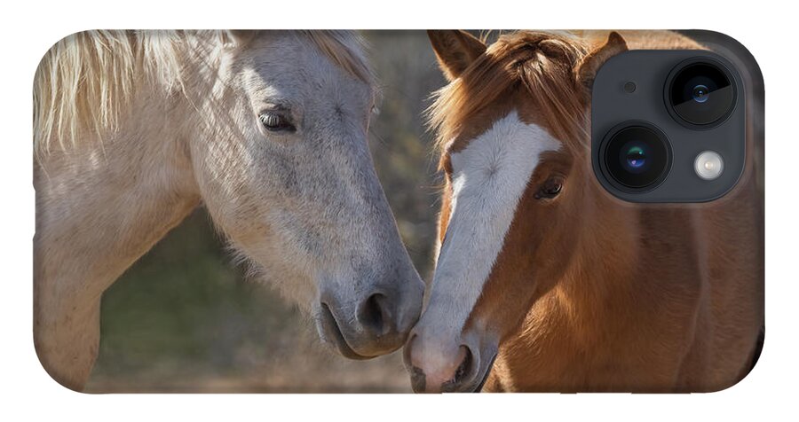 Wild Horses iPhone 14 Case featuring the photograph Wild Horses of Arizona by Sylvia Goldkranz