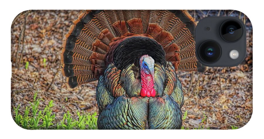 Wild Turkey iPhone 14 Case featuring the photograph Wild Turkey Strutting Head On by Dale Kauzlaric