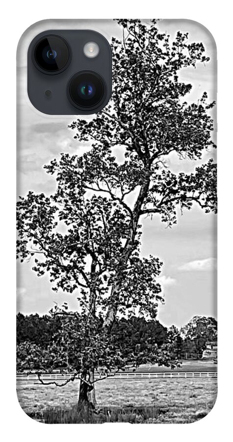 Wildflower iPhone 14 Case featuring the photograph Wildflower Field BW by Lee Darnell
