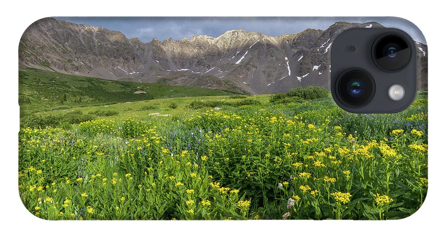 Breckenridge iPhone Case featuring the photograph Wildflowers in Mayflower Gulch by Aaron Spong