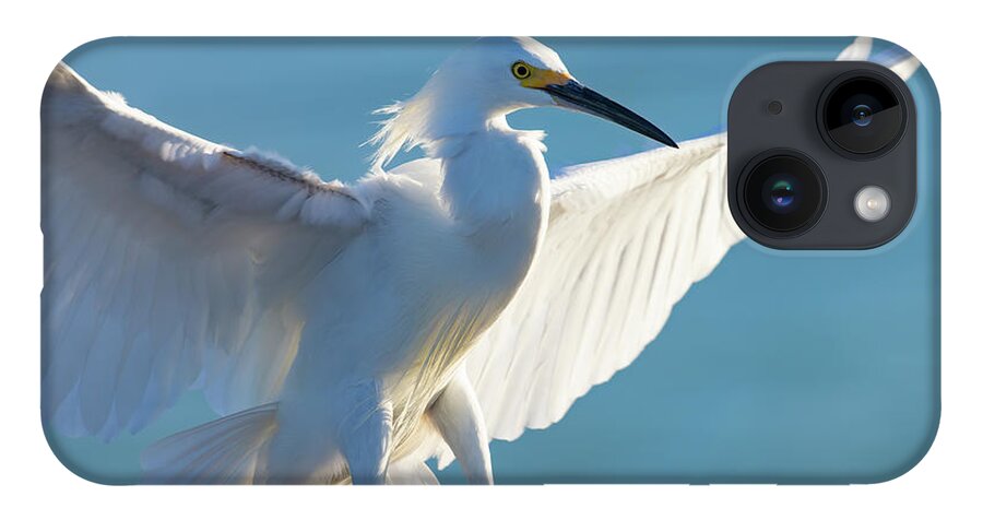 Snowy Egret iPhone 14 Case featuring the photograph Wingspread by RD Allen