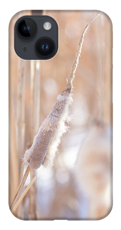 Winter iPhone 14 Case featuring the photograph Winter Cattails by Karen Rispin