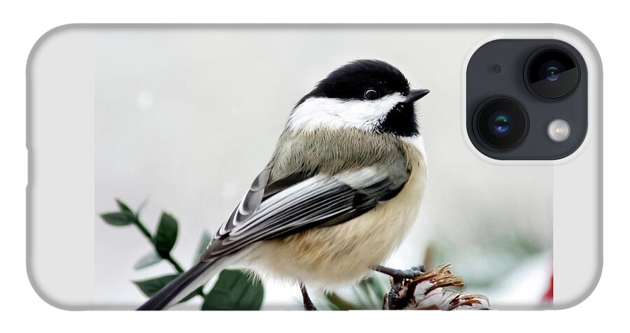 Winter iPhone Case featuring the photograph Winter Chickadee Square by Christina Rollo