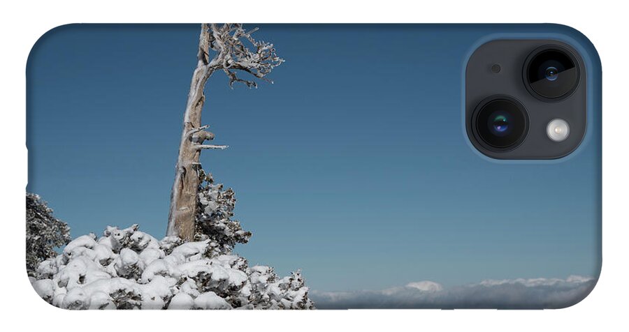 Single Tree iPhone Case featuring the photograph Winter landscape in snowy mountains. frozen snowy lonely fir trees against blue sky. by Michalakis Ppalis