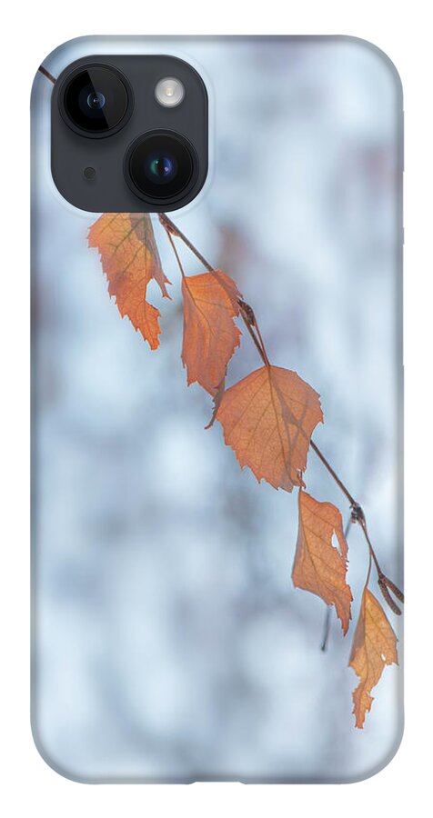 Winter iPhone 14 Case featuring the photograph Winter Weeping Birch Leaves by Karen Rispin