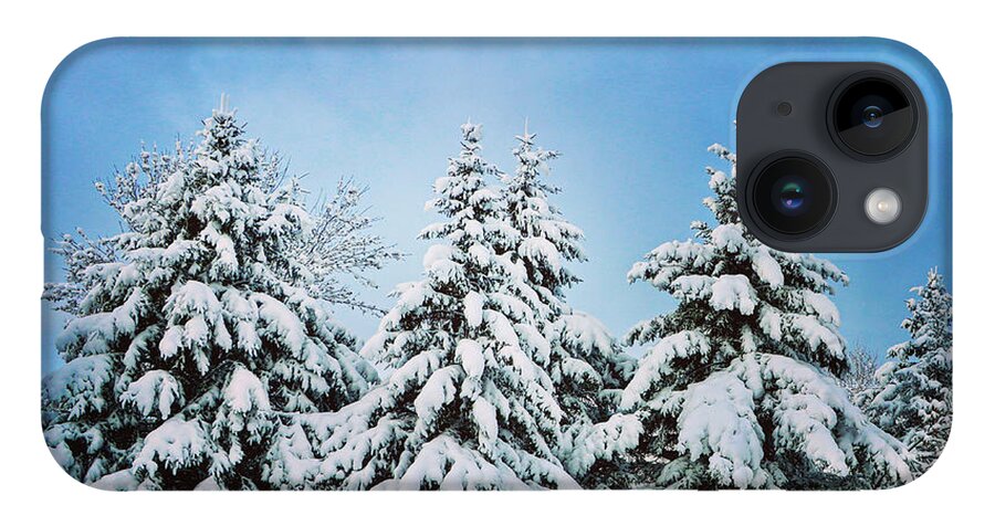 Winter iPhone 14 Case featuring the photograph Winter Wonderland by Sarah Lilja