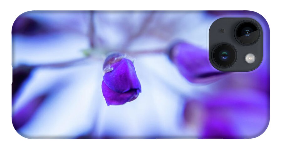 Wisteria iPhone 14 Case featuring the photograph Wisteria Bud Close Up by Lindsay Thomson