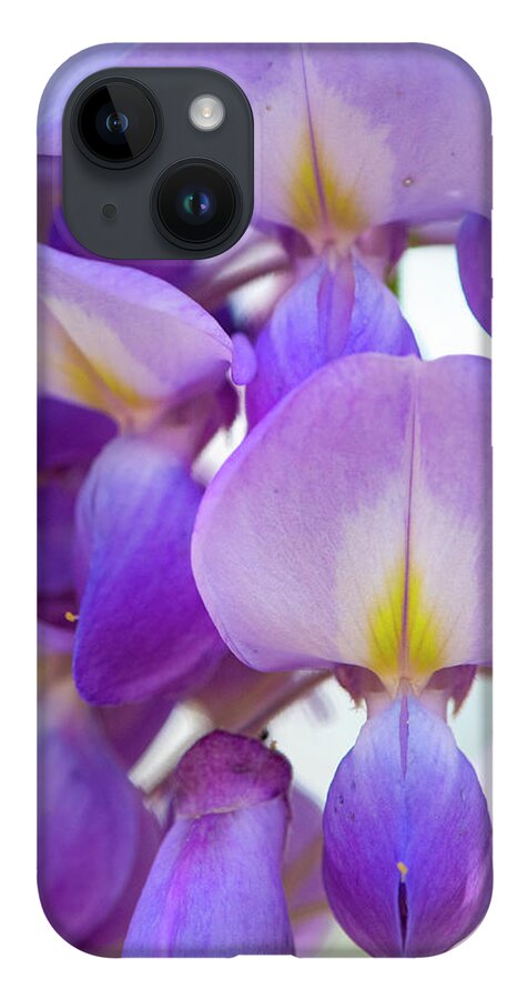 Wisteria iPhone 14 Case featuring the photograph Wisteria Close Up by Karen Rispin