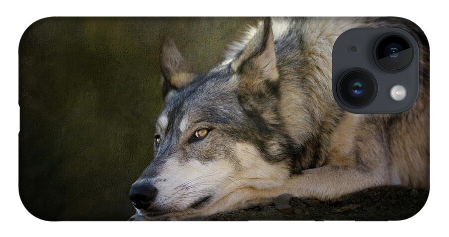 Wolf iPhone 14 Case featuring the digital art Wolf Watch by Nicole Wilde
