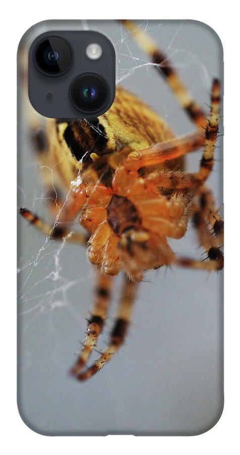 Spider iPhone 14 Case featuring the painting Working spider by Sv Bell