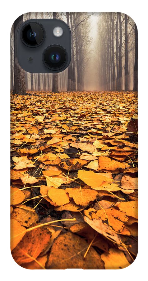 Bulgaria iPhone 14 Case featuring the photograph Yellow Carpet by Evgeni Dinev