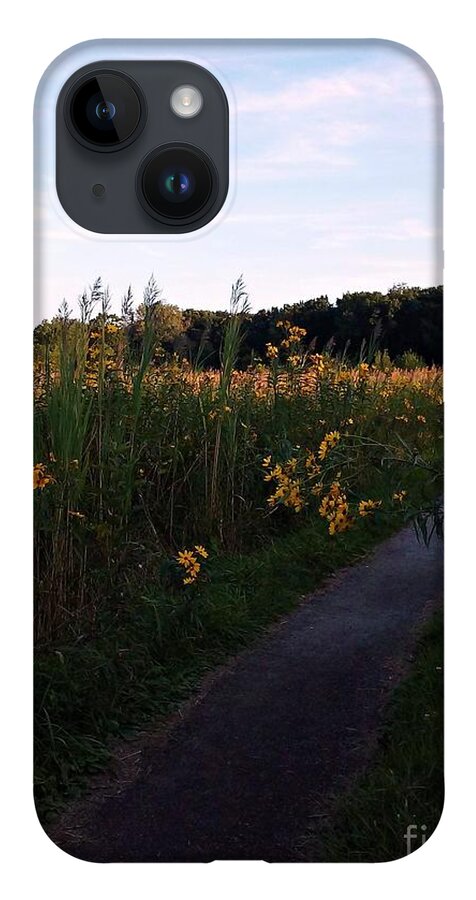 Flowers iPhone 14 Case featuring the photograph Yellow Daisies Under The Blue Sky - Art Photograph by Frank J Casella by Frank J Casella