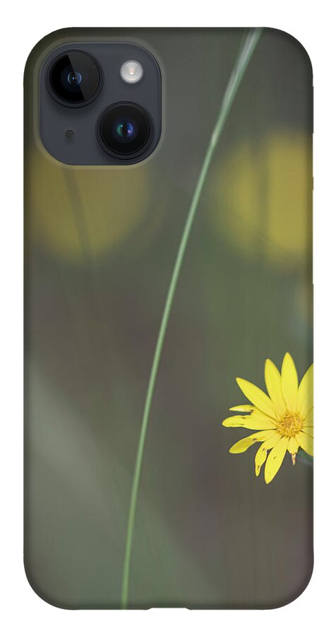 Daisy iPhone 14 Case featuring the photograph Yellow Daisy Close-up by Karen Rispin