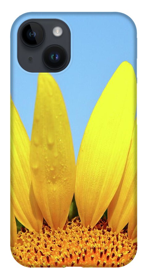 Sunflower iPhone 14 Case featuring the photograph You Are My Sunshine by Lens Art Photography By Larry Trager