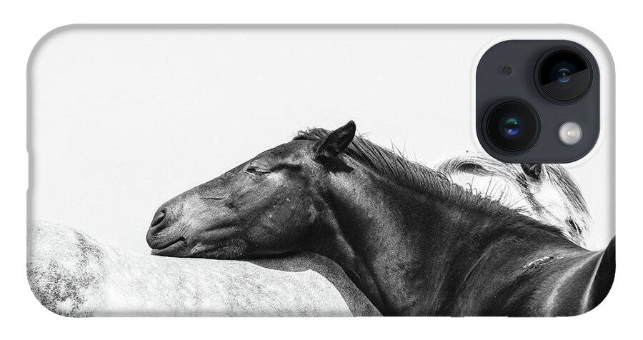 Photographs iPhone Case featuring the photograph You Mean the World to me II - Horse Art by Lisa Saint