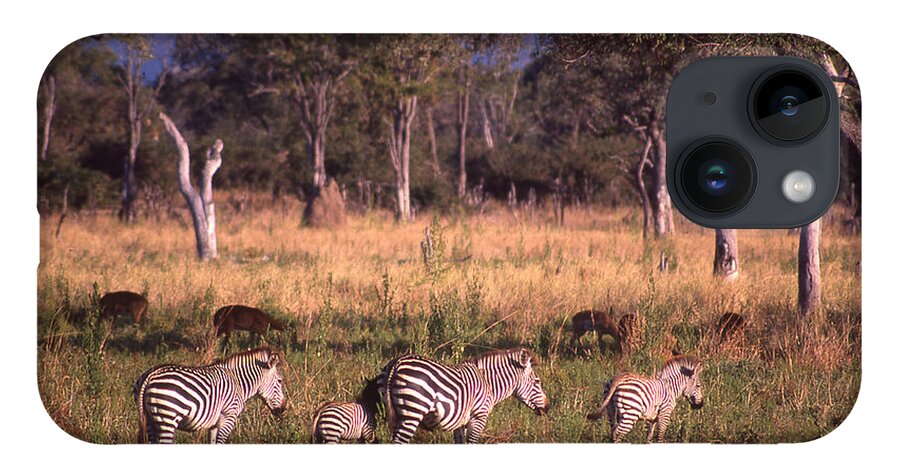 Africa iPhone Case featuring the photograph Zebra Family Landscape by Russ Considine