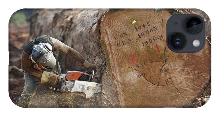Logger Cutting Trunk Of Rainforest iPhone 14 Plus Case by Cyril