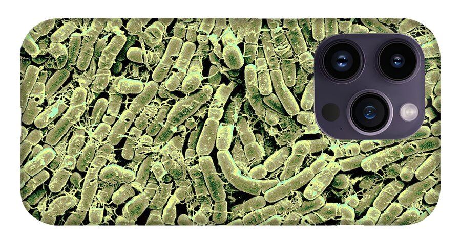 Bacillus Thuringiensis Bacteria #3 iPhone 14 Pro Case by Scimat
