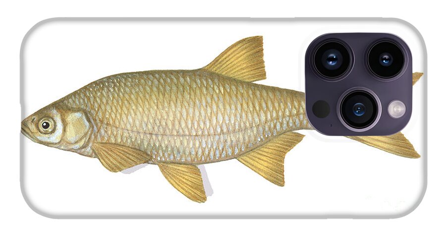 Golden Shiner iPhone 14 Pro Max Case by Carlyn Iverson - Pixels