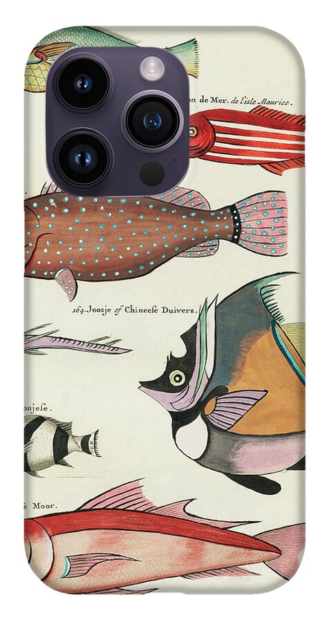 Vintage, Whimsical Fish and Marine Life Illustration by Louis Renard -  Toctasse Moor, Joosje, Goujon iPhone 14 Pro Max Case by Louis Renard -  Pixels