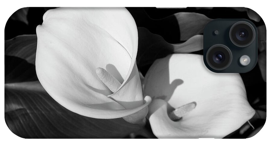 Calla Lilies iPhone Case featuring the photograph Calla Lilies BW 1 by David Doucot