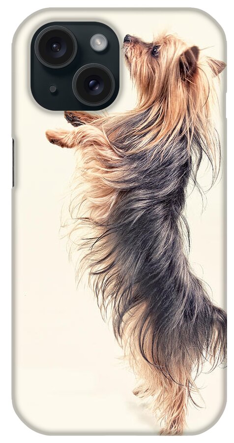 Yorkie iPhone Case featuring the digital art Dancing Yorkshire Terrier by Susan Stone