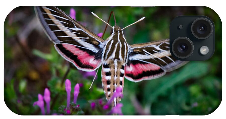  White-lined Sphinx iPhone Case featuring the photograph Hummingbird Moth Print by Doug Long