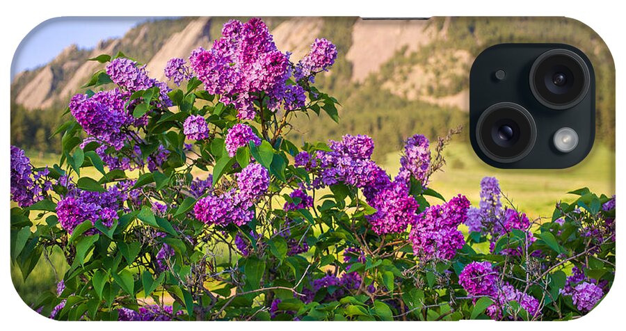 Lilac iPhone Case featuring the photograph Lilac Flowers - Boulder Colorado by Aaron Spong