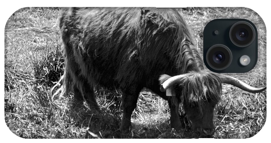 Scottish iPhone Case featuring the photograph Scottish Highland Bovine by Eric Tressler