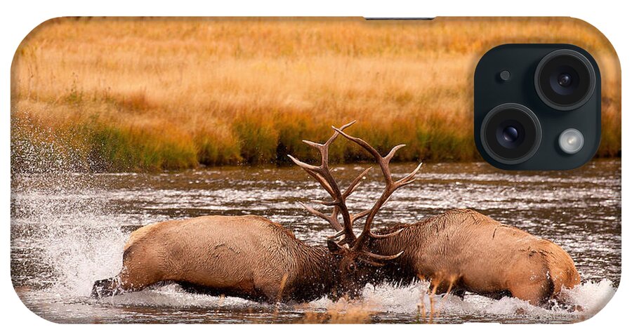 Elk iPhone Case featuring the photograph Struggle by Aaron Whittemore
