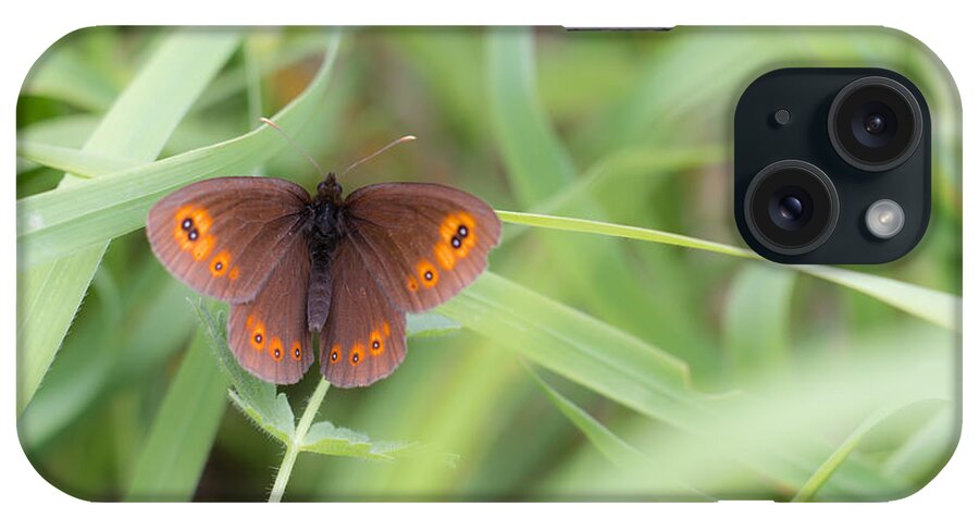 Bulgaria iPhone Case featuring the photograph 03 Woodland Ringlet Butterfly by Jivko Nakev