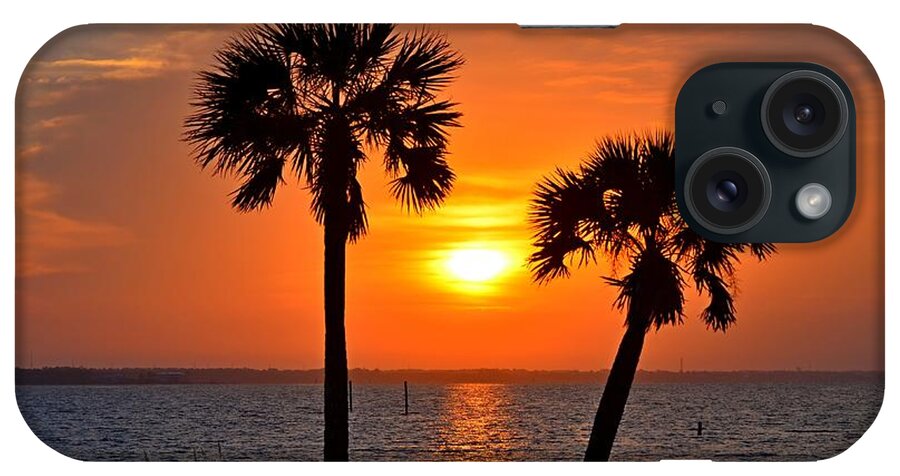 20120602 iPhone Case featuring the photograph 0602 Pair of Palms at Sunrise by Jeff at JSJ Photography