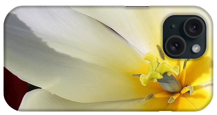 Flora iPhone Case featuring the photograph A Touch of Elegance #3 by Bruce Bley