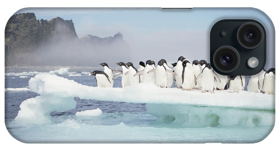 Feb0514 iPhone Case featuring the photograph Adelie Penguins On Melting Ice Floe #1 by Tui De Roy