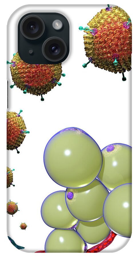 Adipocyte iPhone Case featuring the photograph Adenovirus Ad-36 And Fat Cells #1 by Russell Kightley/science Photo Library
