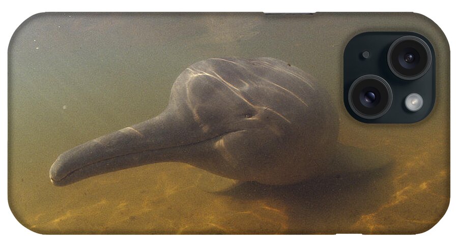 Feb0514 iPhone Case featuring the photograph Amazon River Dolphin Portrait Brazil #1 by Flip Nicklin