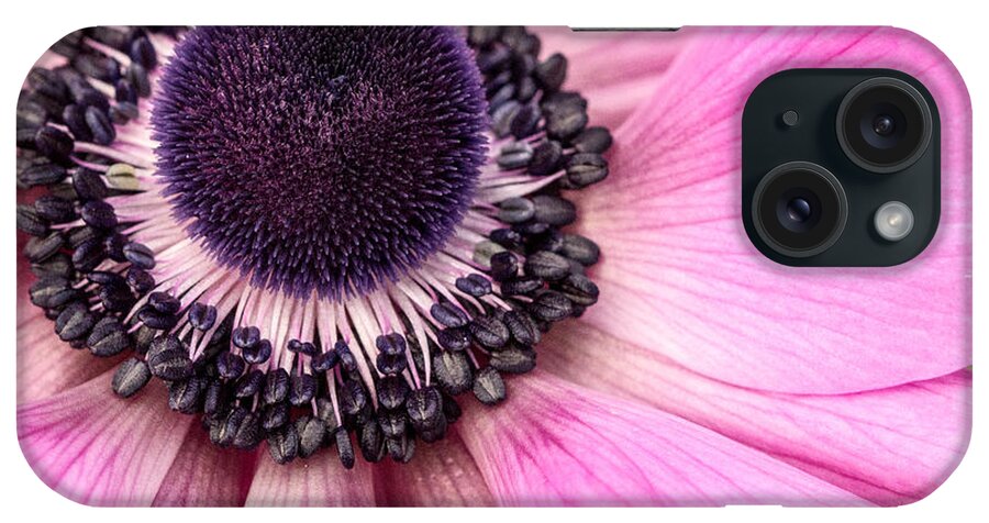 Anemone iPhone Case featuring the photograph Anemone #1 by Cathy Donohoue
